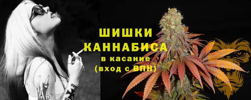 mega онион  купить  цена  Можга  Марихуана SATIVA & INDICA 